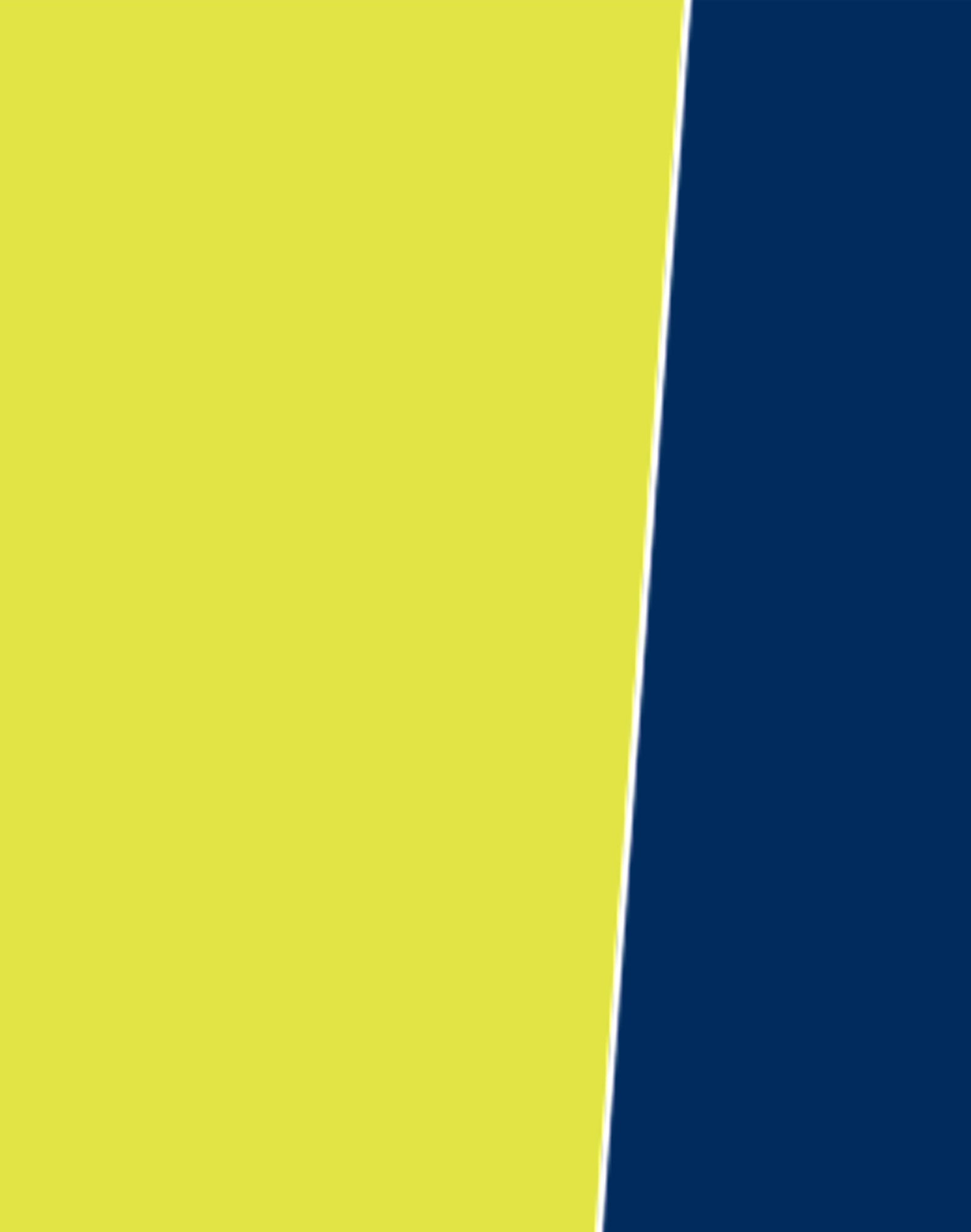 High Vis Reversible Vest And Jacket - Yellow Navy