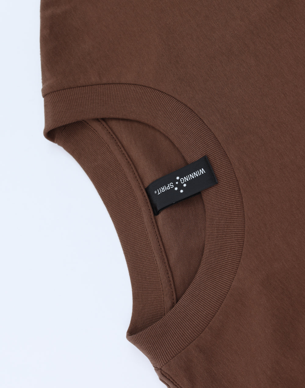 Unisex Heavy Cotton Oversized Tee - Walnut